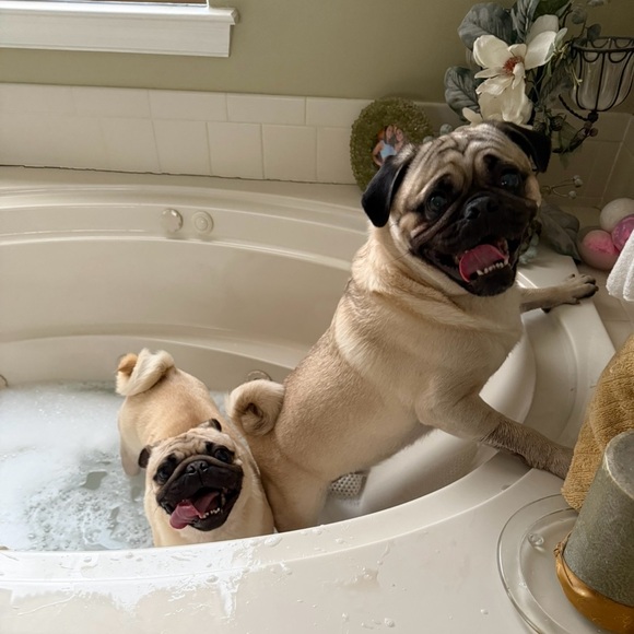 Thank you for shopping with me! Offers welcome! - Picture 16 of 16